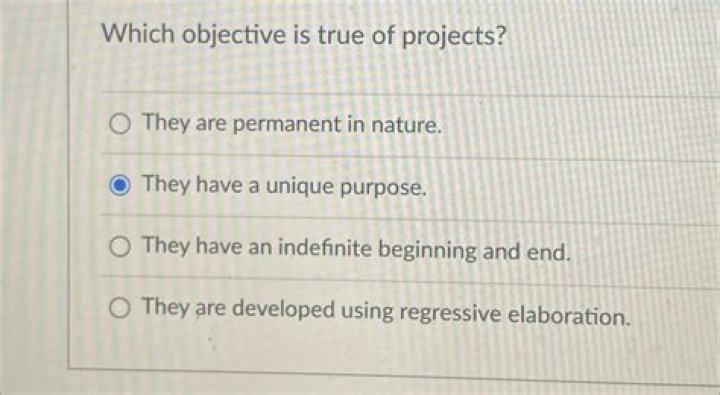 Which objective is true of projects?