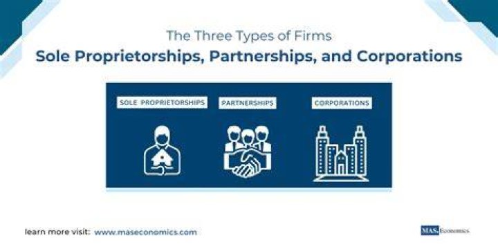 Which of the following is an advantage of corporations relative to partnerships and sole proprietorships?