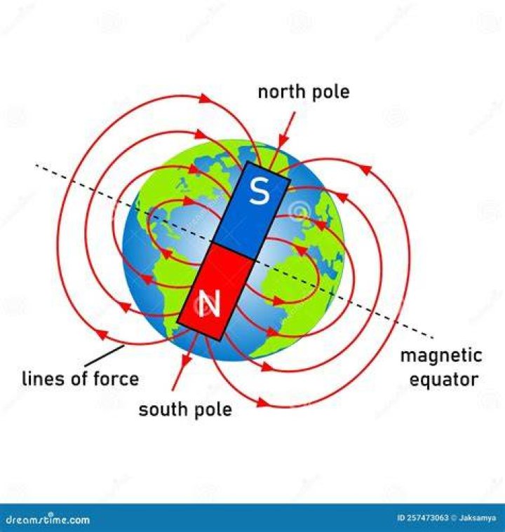 Which of the terrestrial worlds has the strongest magnetic fields?