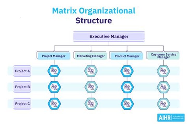 Which organizations use matrix structure?