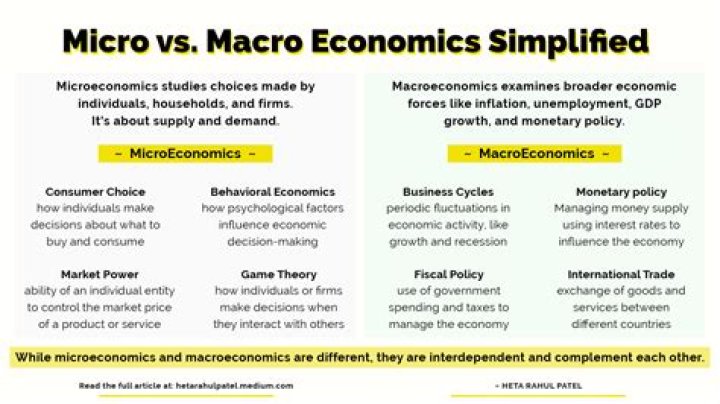 Which policy is included in micro economic policy?