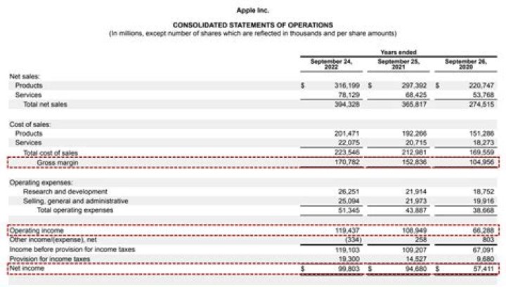 Which subtotals appear on a multi-step income statement?