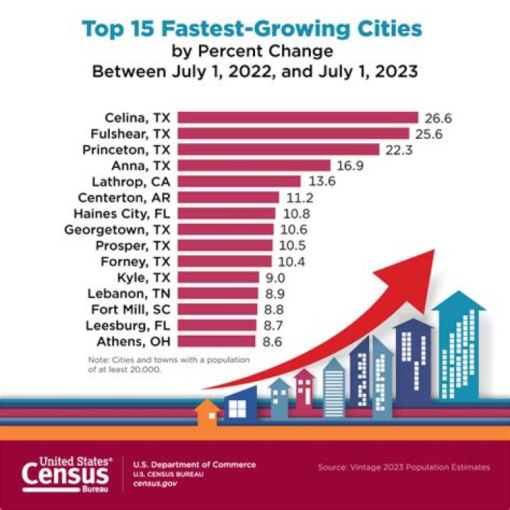 Which type of business is the fastest growing in the United States?