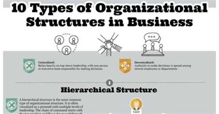 Which type of business organization is managed by its members?