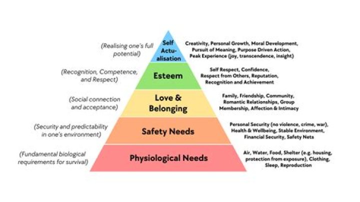 Which type was Maslow concerned with?