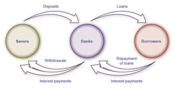 Who are savers borrowers and financial intermediaries?