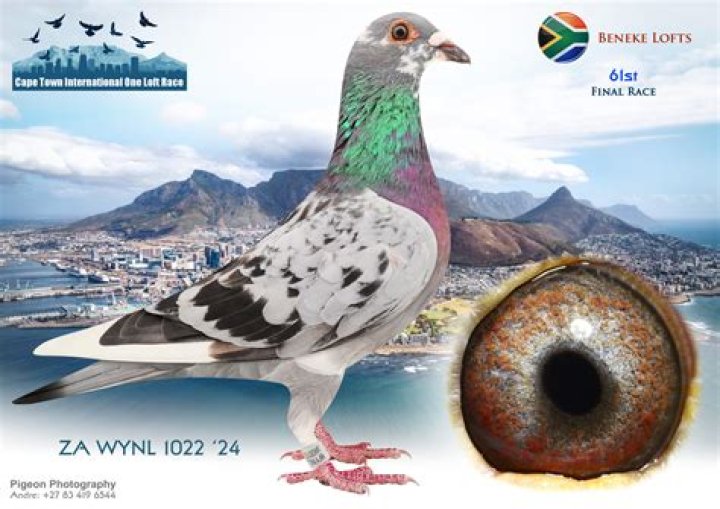 Who bought White Hen?