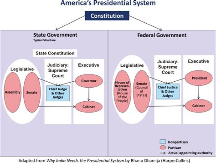 Who elects the chief executive in a presidential system?