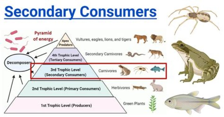 Who is a secondary user?