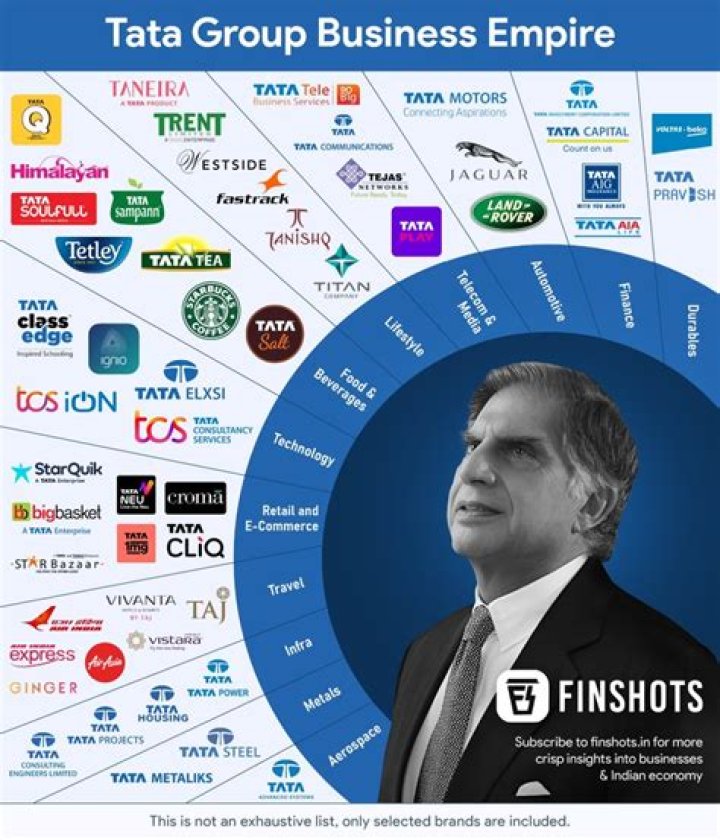 Who is CEO of Tata Group?