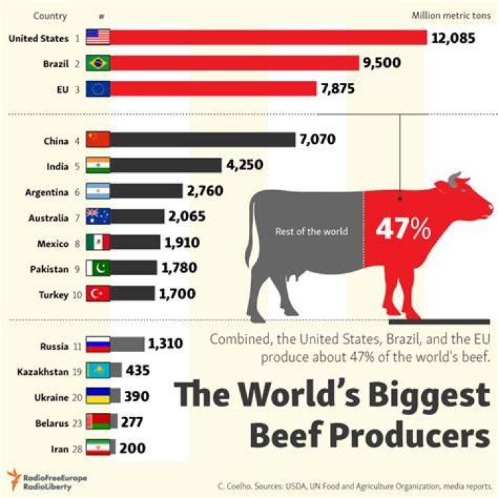 Who is the worlds largest producer of beef?