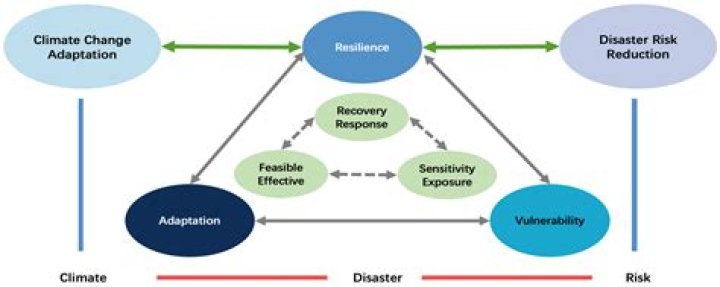 Who made the resilience theory?