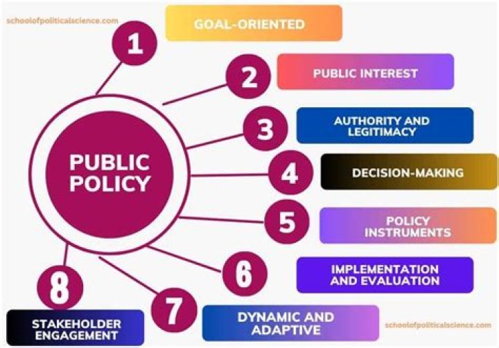 Who makes public policy in the form of law?