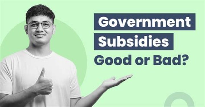 Why are government subsidies bad?