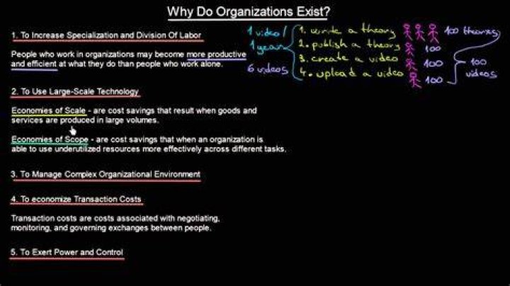 Why do organizations exist?