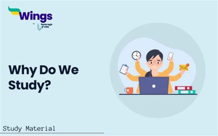 Why do we study business studies?