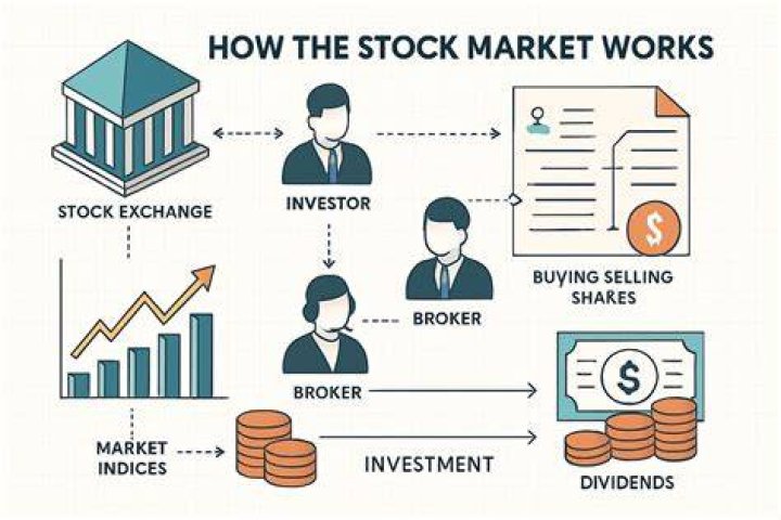 Why does the stock market exist?