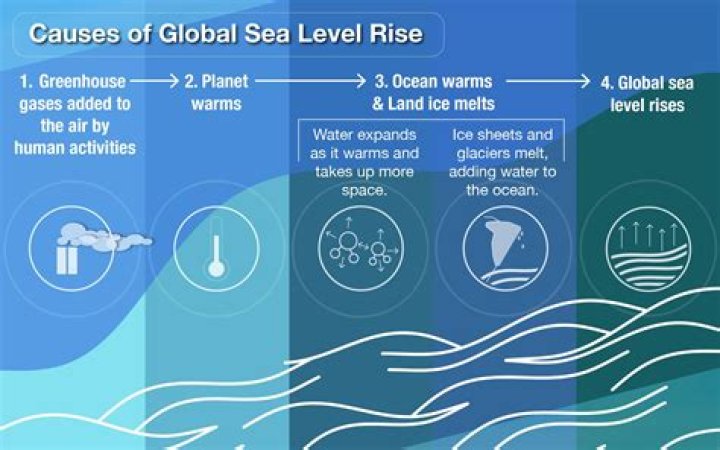 Why does water rise higher in a smaller tube?