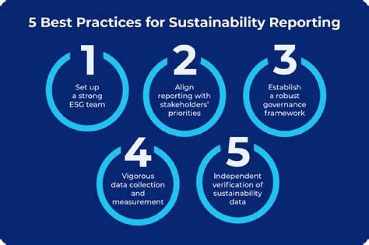 Why has the practice of sustainability reporting and assurance varies around the world?