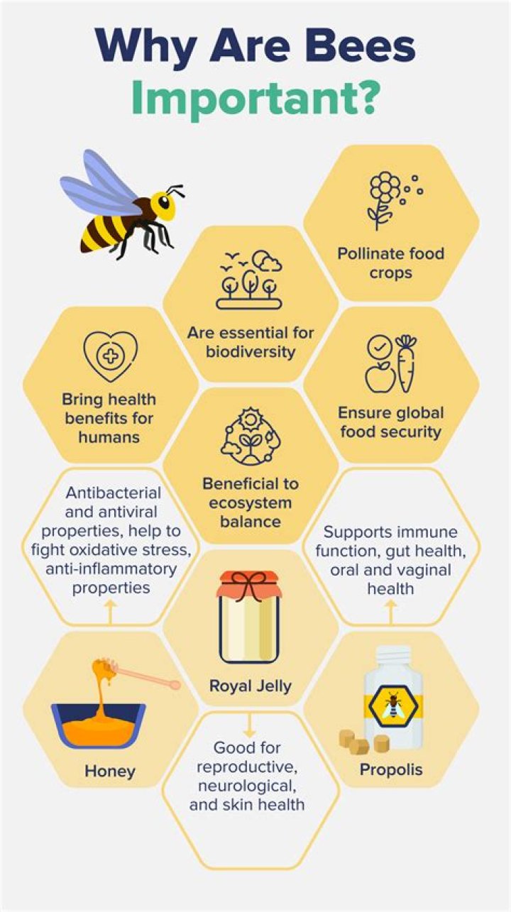 Why is a park important to a community?