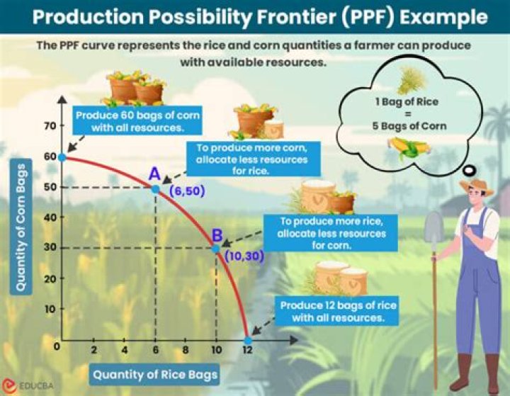 Why is it important for an economy to be on its production possibility frontier?