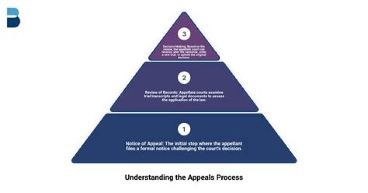 Why is it important to have an appeals process?