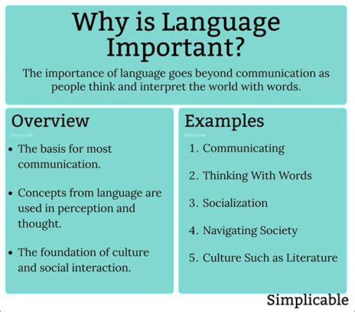 Why is language variety important?