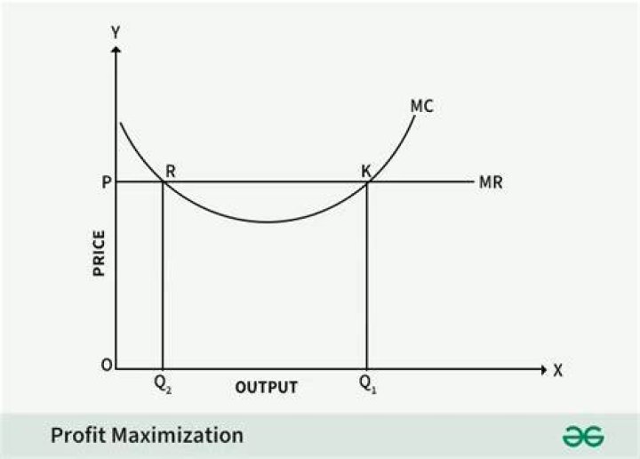 Why is profit Maximisation the most important objective?