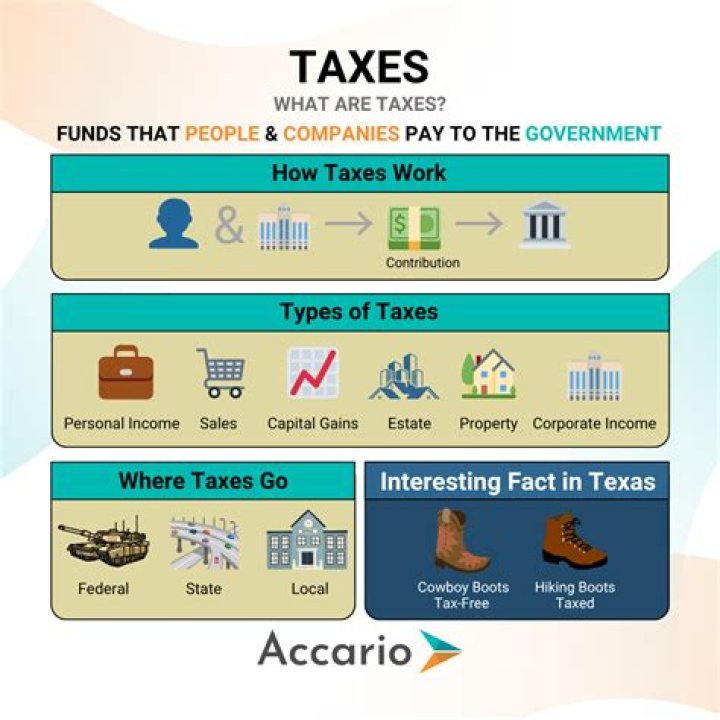 Why is tax necessary for the government?