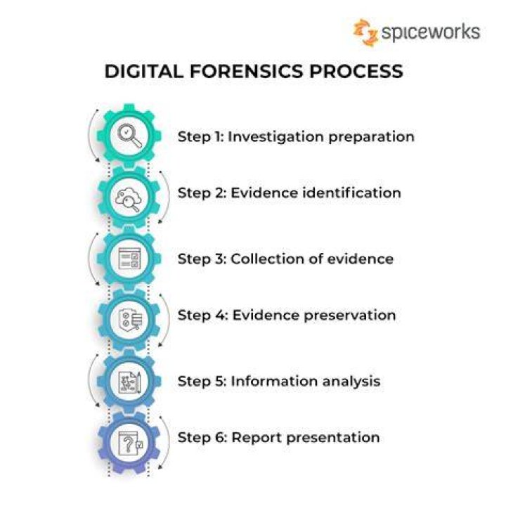 Why is the study of postulates significant for the audit discipline?