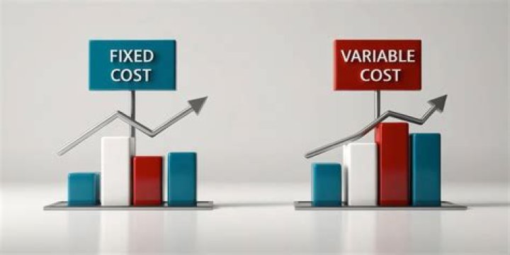 Why variable costs are separated from fixed costs?