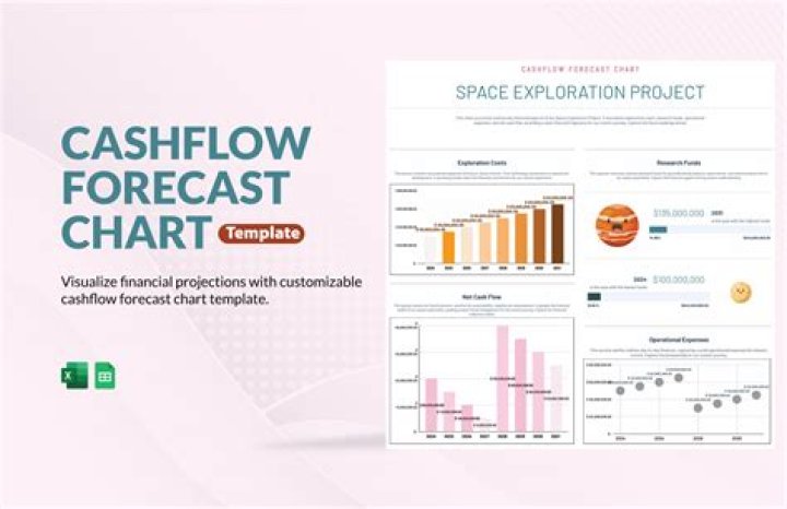 Why we need a cash flow forecast?