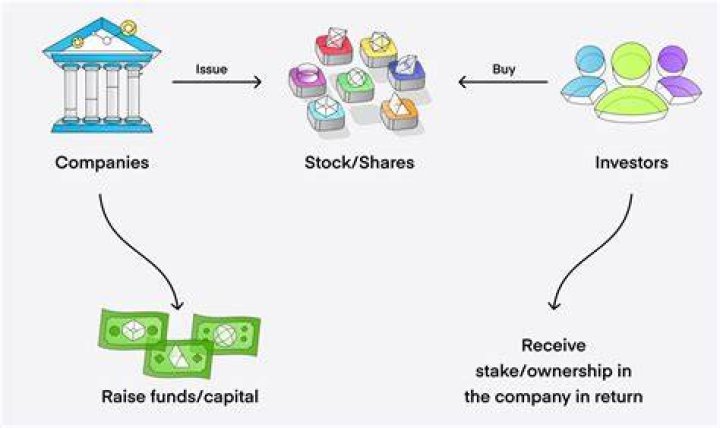 Why would you want to own a share of stock?